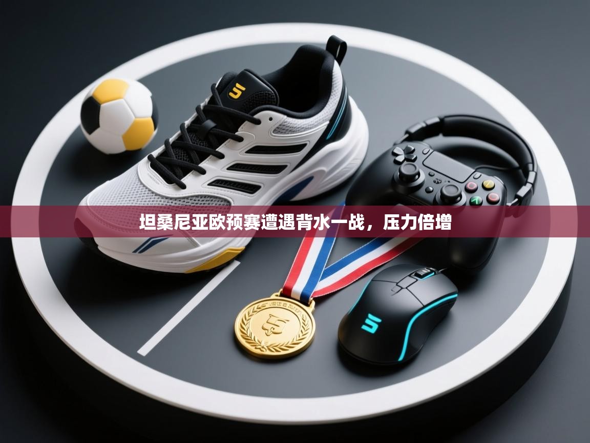 坦桑尼亚欧预赛遭遇背水一战,压力倍增 第1张