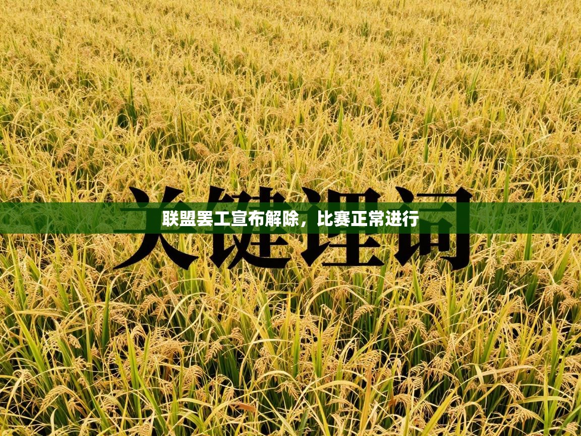 联盟罢工宣布解除，比赛正常进行  第1张