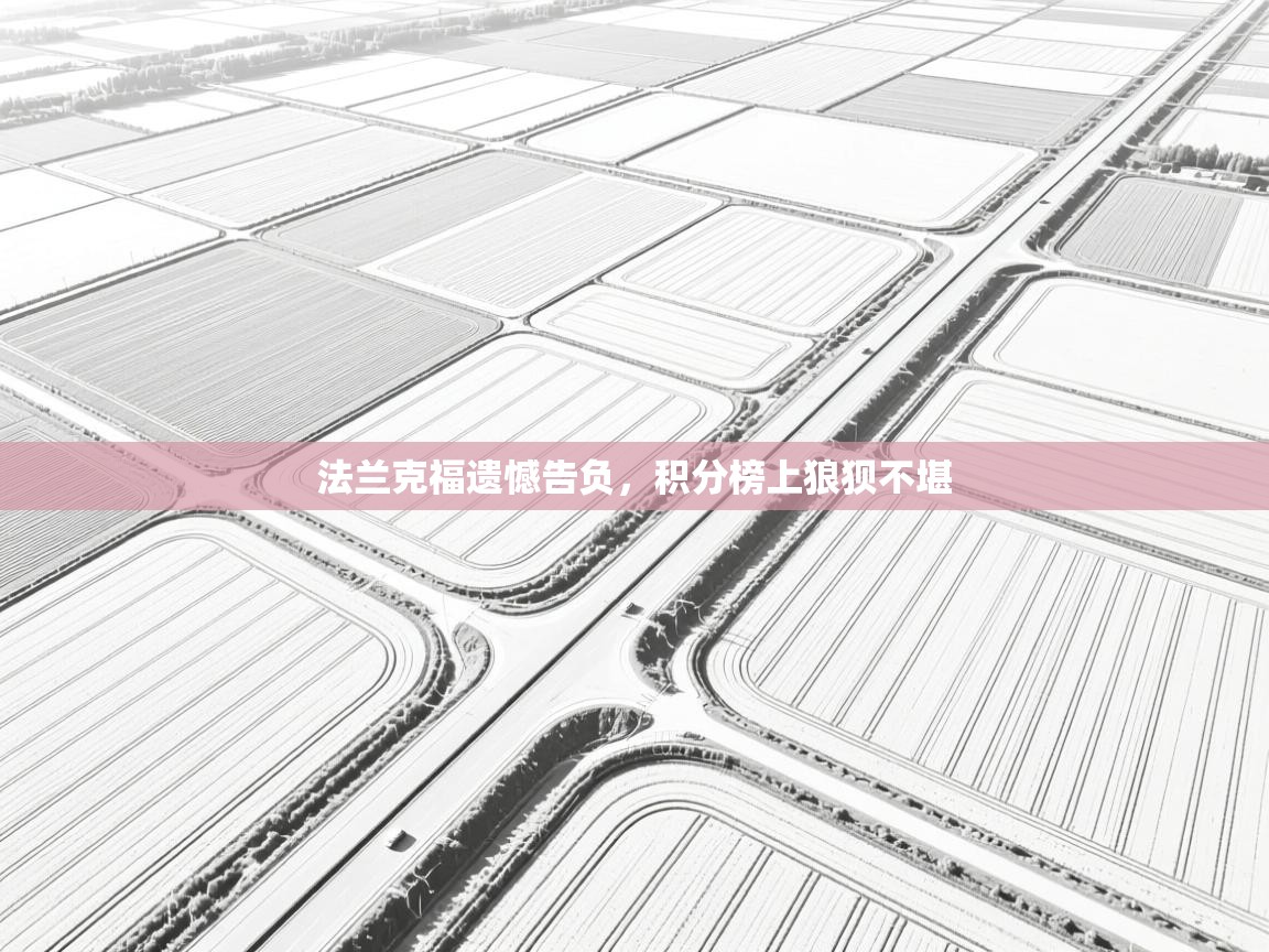 法兰克福遗憾告负,积分榜上狼狈不堪 第2张