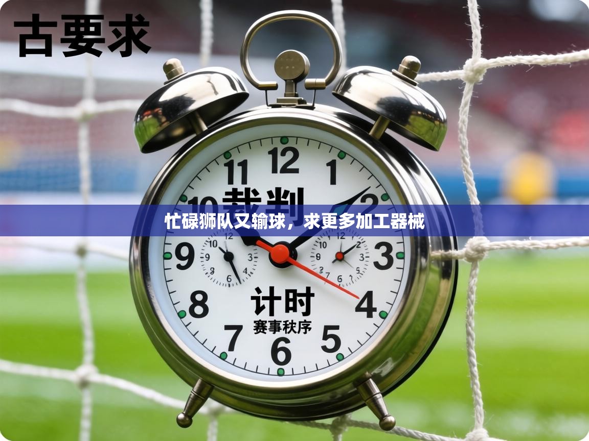 忙碌狮队又输球,求更多加工器械 第2张