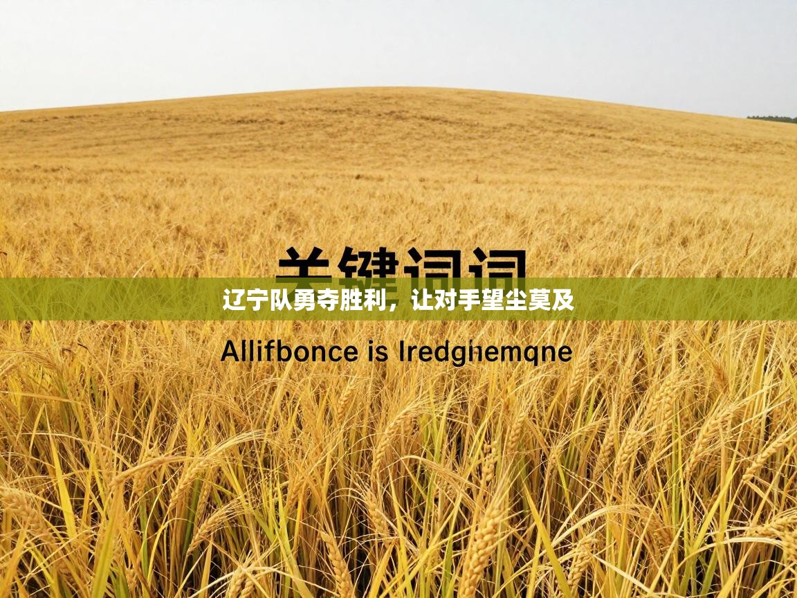 辽宁队勇夺胜利,让对手望尘莫及 第2张